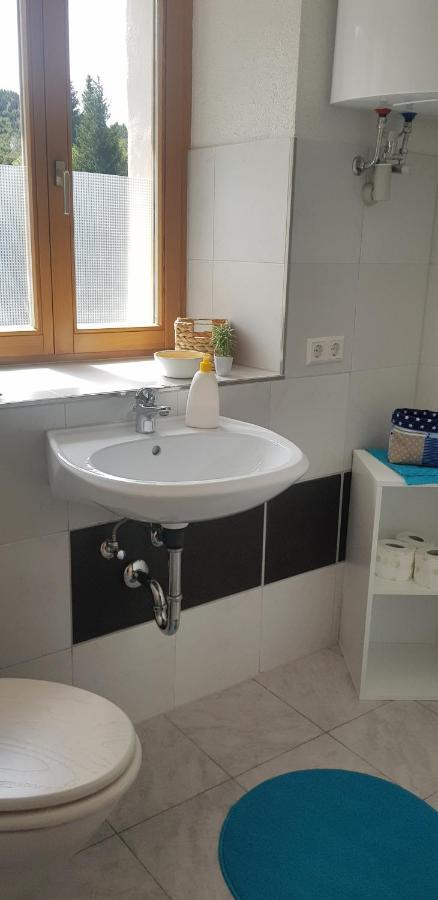 Ferienwohnung Natururlaub Muggenbrunn Todtnau Exterior foto