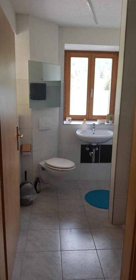 Ferienwohnung Natururlaub Muggenbrunn Todtnau Exterior foto