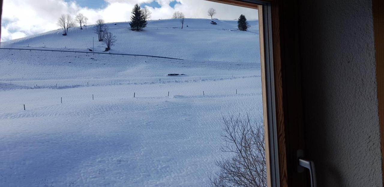 Ferienwohnung Natururlaub Muggenbrunn Todtnau Exterior foto